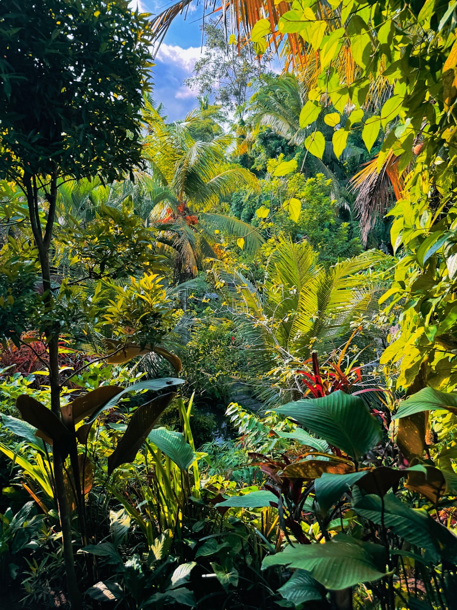 Royal Botanical Gardens